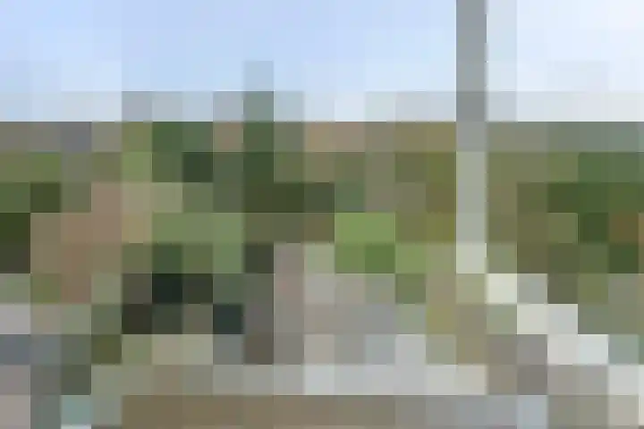 Oude Kanonsdijk 84 Zutphen thumbnail 36