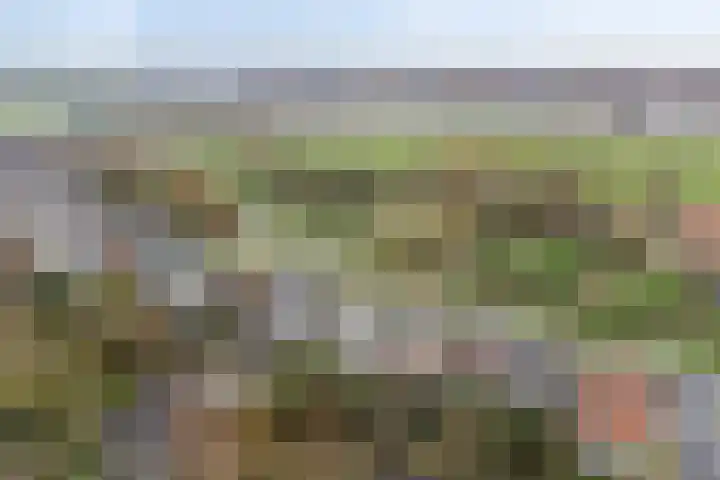 Oude Kanonsdijk 84 Zutphen thumbnail 37