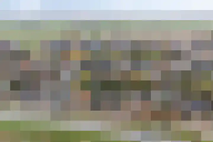 Oude Kanonsdijk 84 Zutphen thumbnail 38