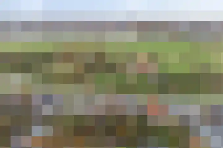 Oude Kanonsdijk 84 Zutphen thumbnail 4