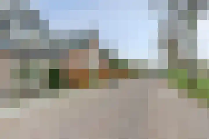 Oude Kanonsdijk 84 Zutphen thumbnail 41