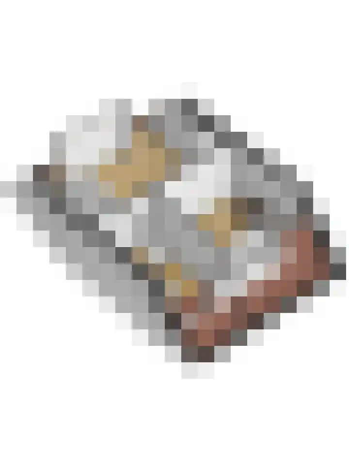 Oude Kanonsdijk 84 Zutphen thumbnail 49