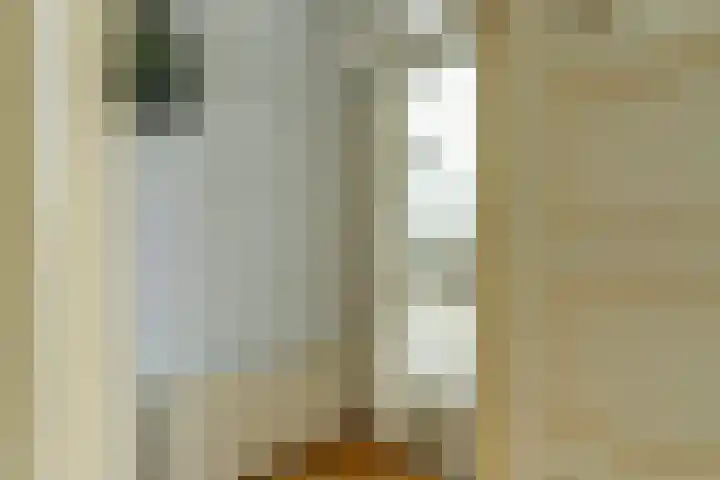 Oude Kanonsdijk 84 Zutphen thumbnail 7