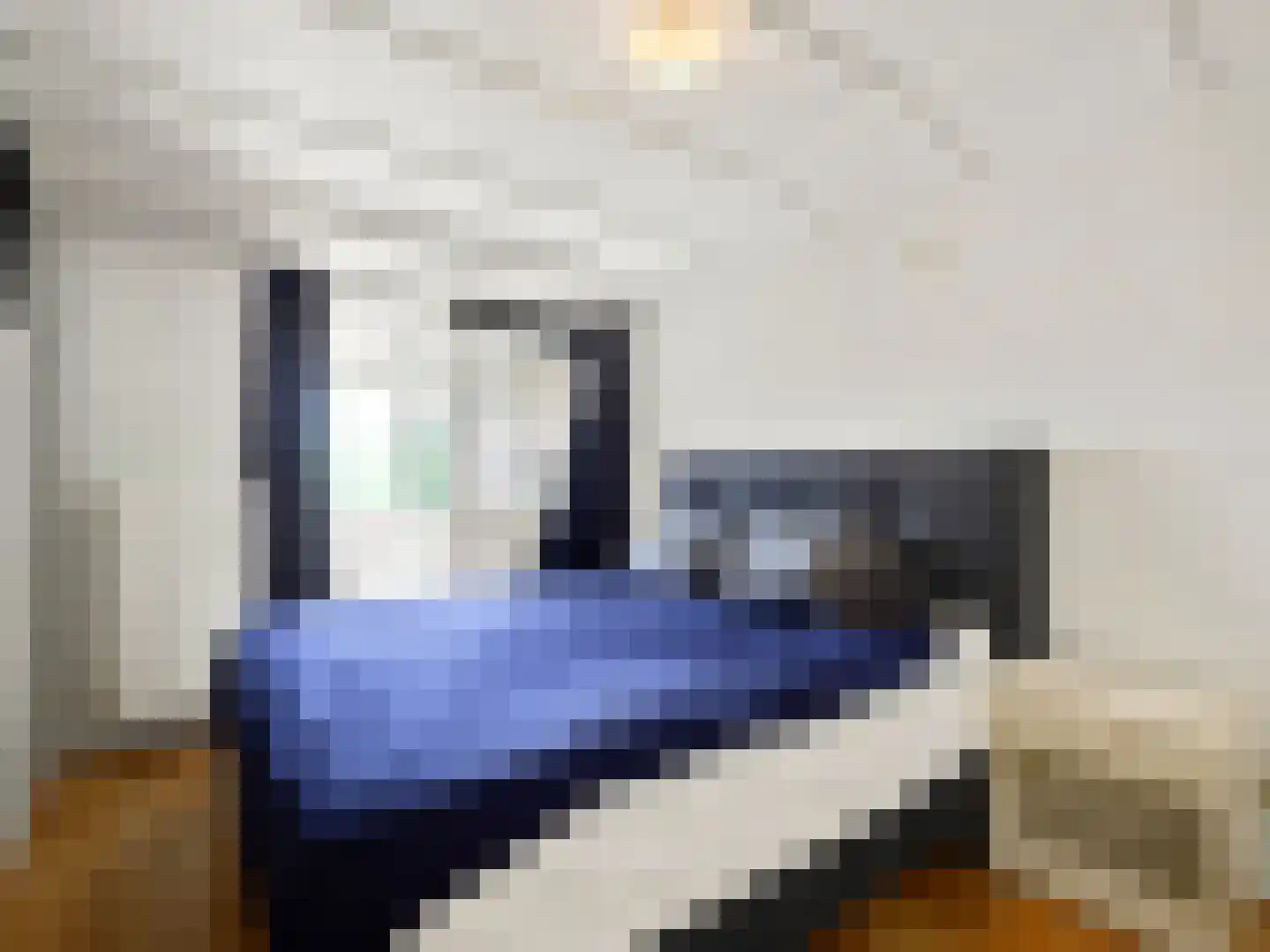 Oude Kanonsdijk 90 Zutphen thumbnail 13