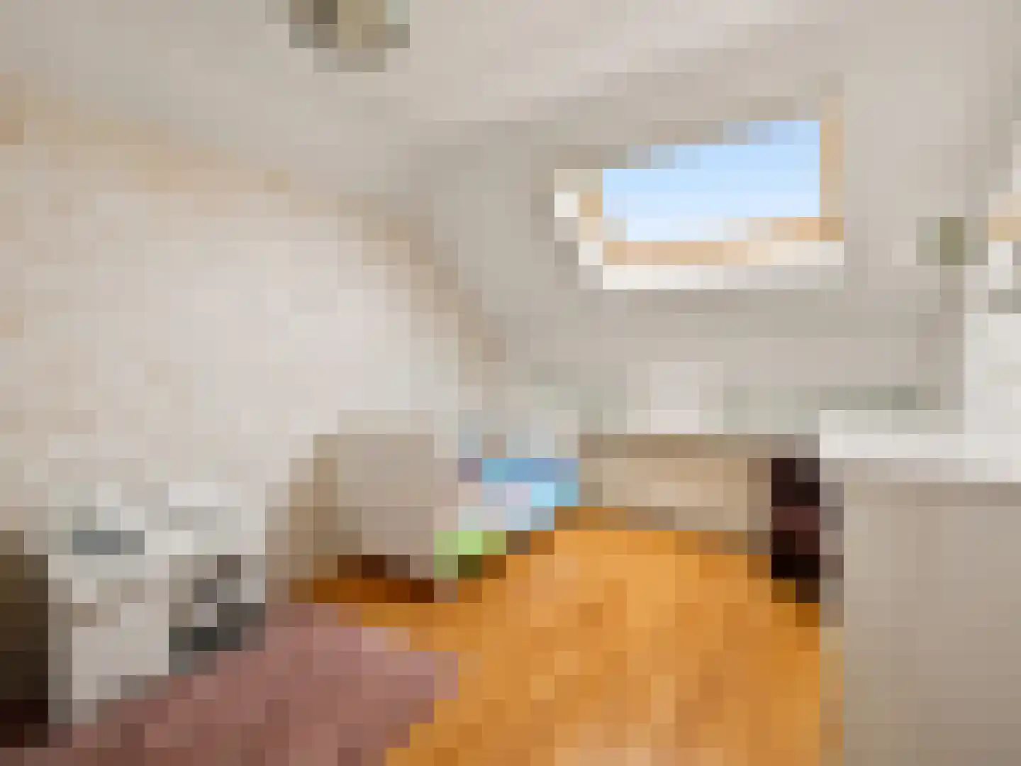 Oude Kanonsdijk 90 Zutphen thumbnail 17