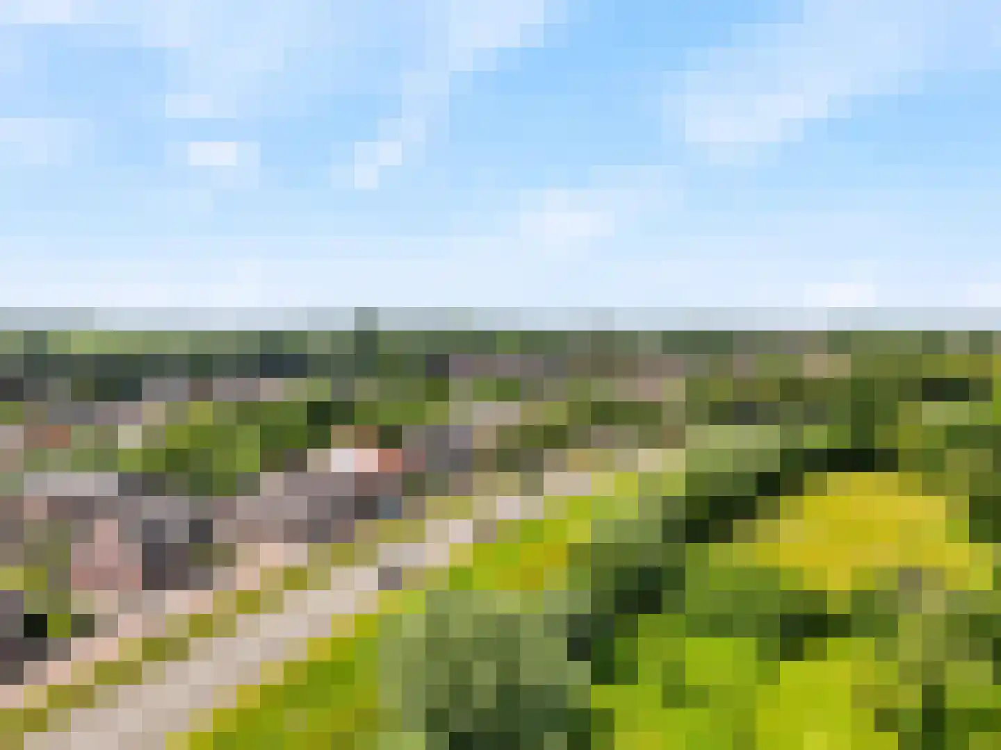 Oude Kanonsdijk 90 Zutphen thumbnail 27