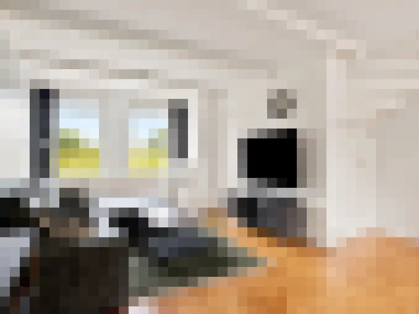 Oude Kanonsdijk 90 Zutphen thumbnail 4