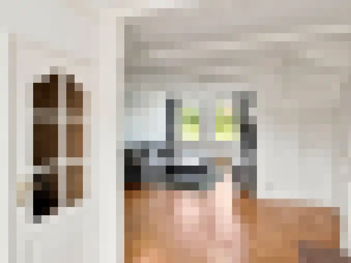 Oude Kanonsdijk 90 Zutphen thumbnail 7