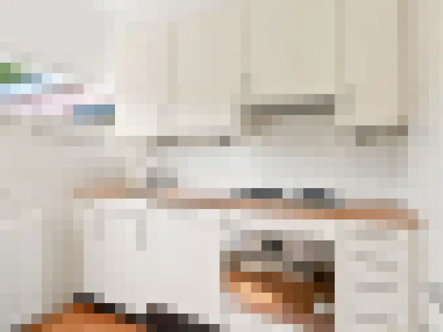 Oude Kanonsdijk 90 Zutphen thumbnail 8