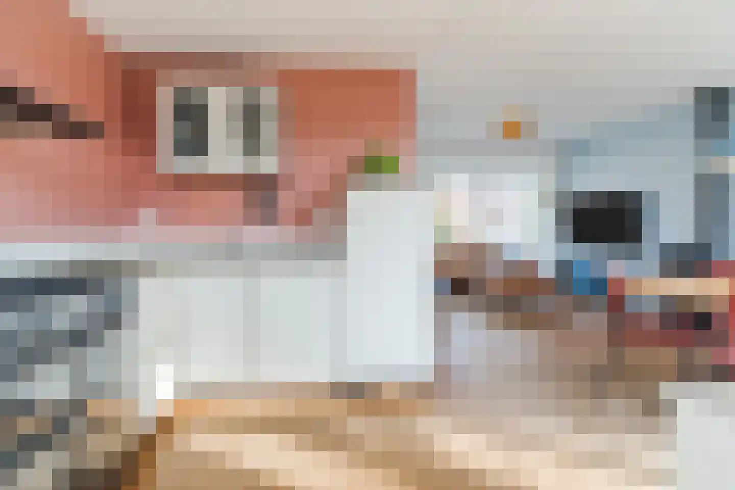 Oude Kapel 11 Geldermalsen thumbnail 11