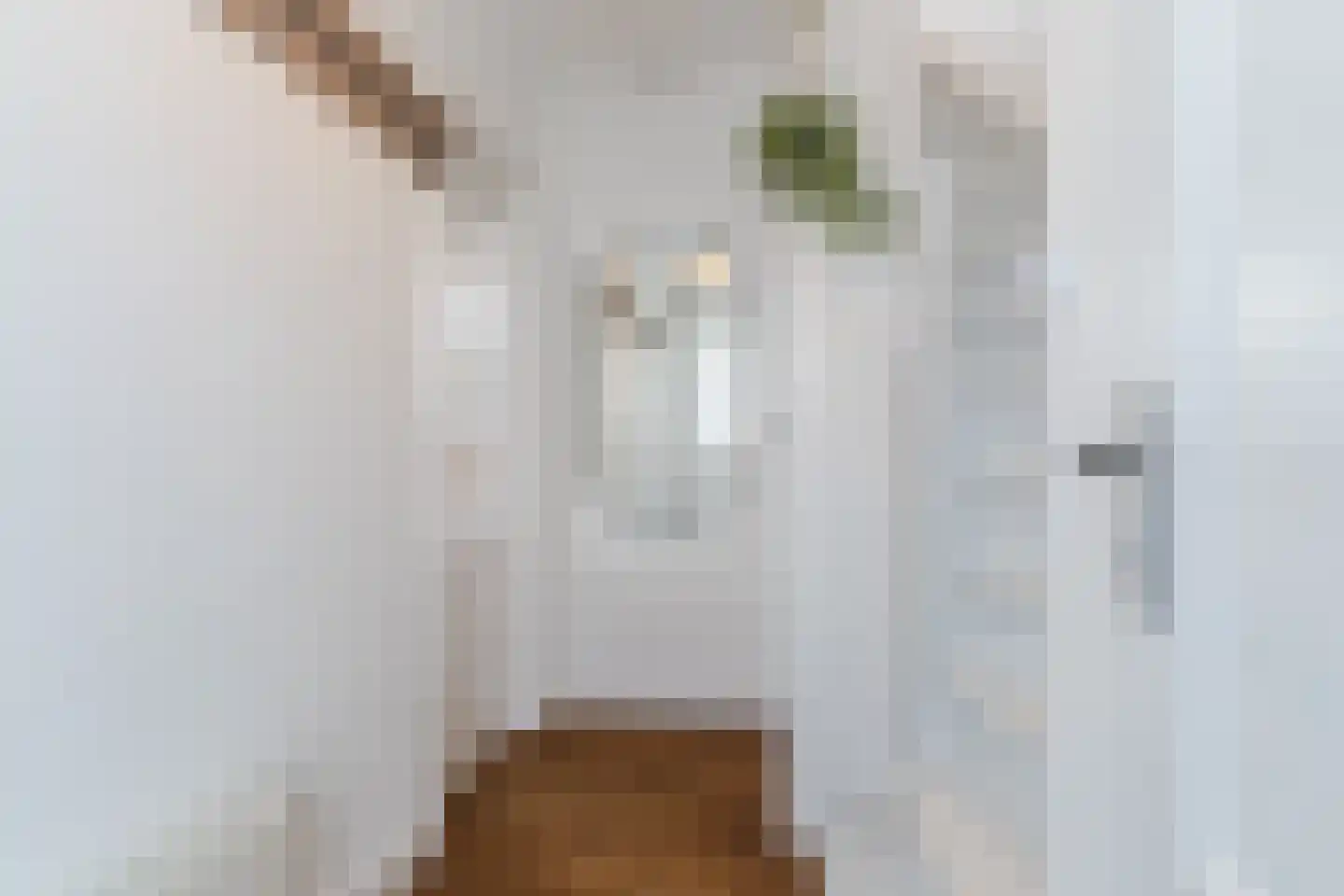 Oude Kapel 11 Geldermalsen thumbnail 13