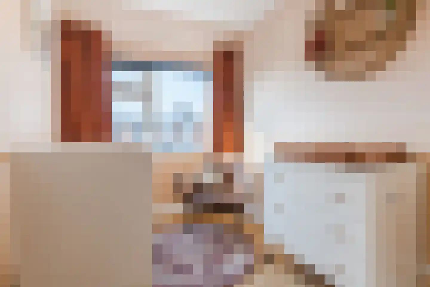 Oude Kapel 11 Geldermalsen thumbnail 20
