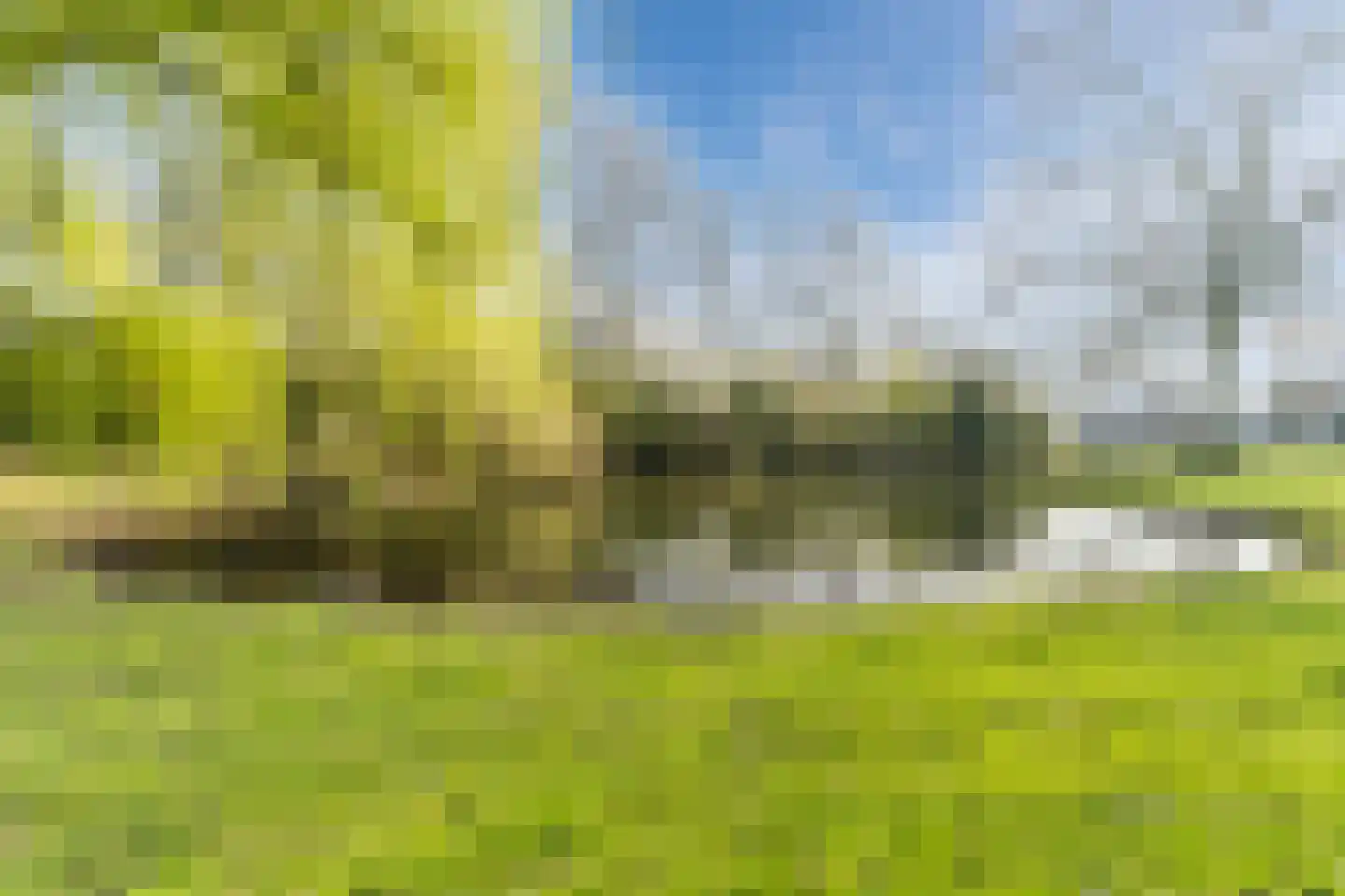 Oude Kapel 11 Geldermalsen thumbnail 38