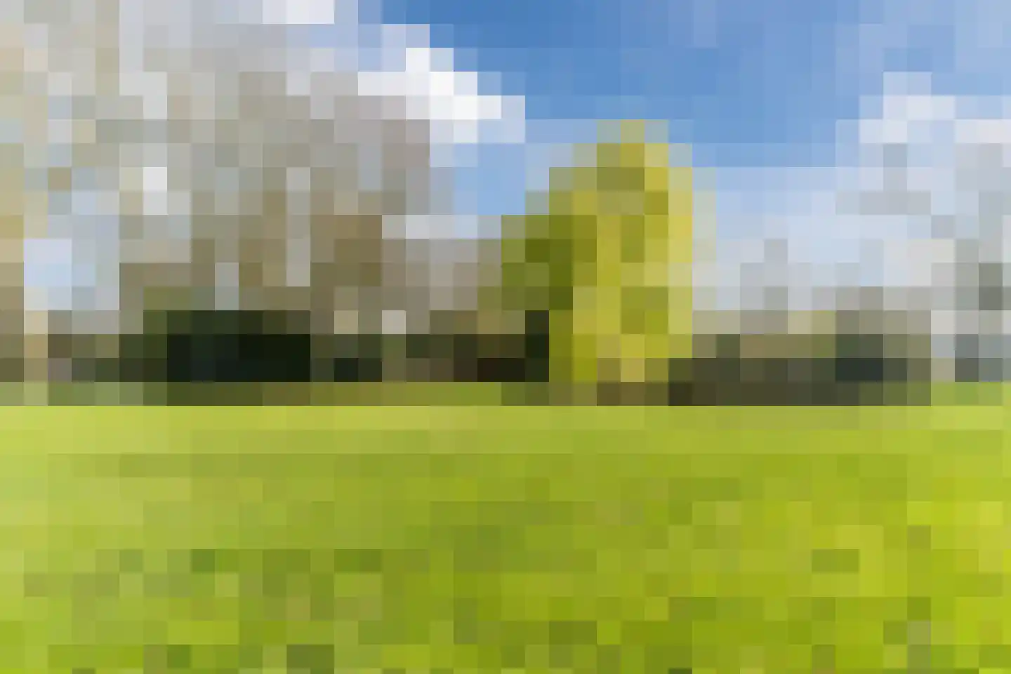 Oude Kapel 11 Geldermalsen thumbnail 39