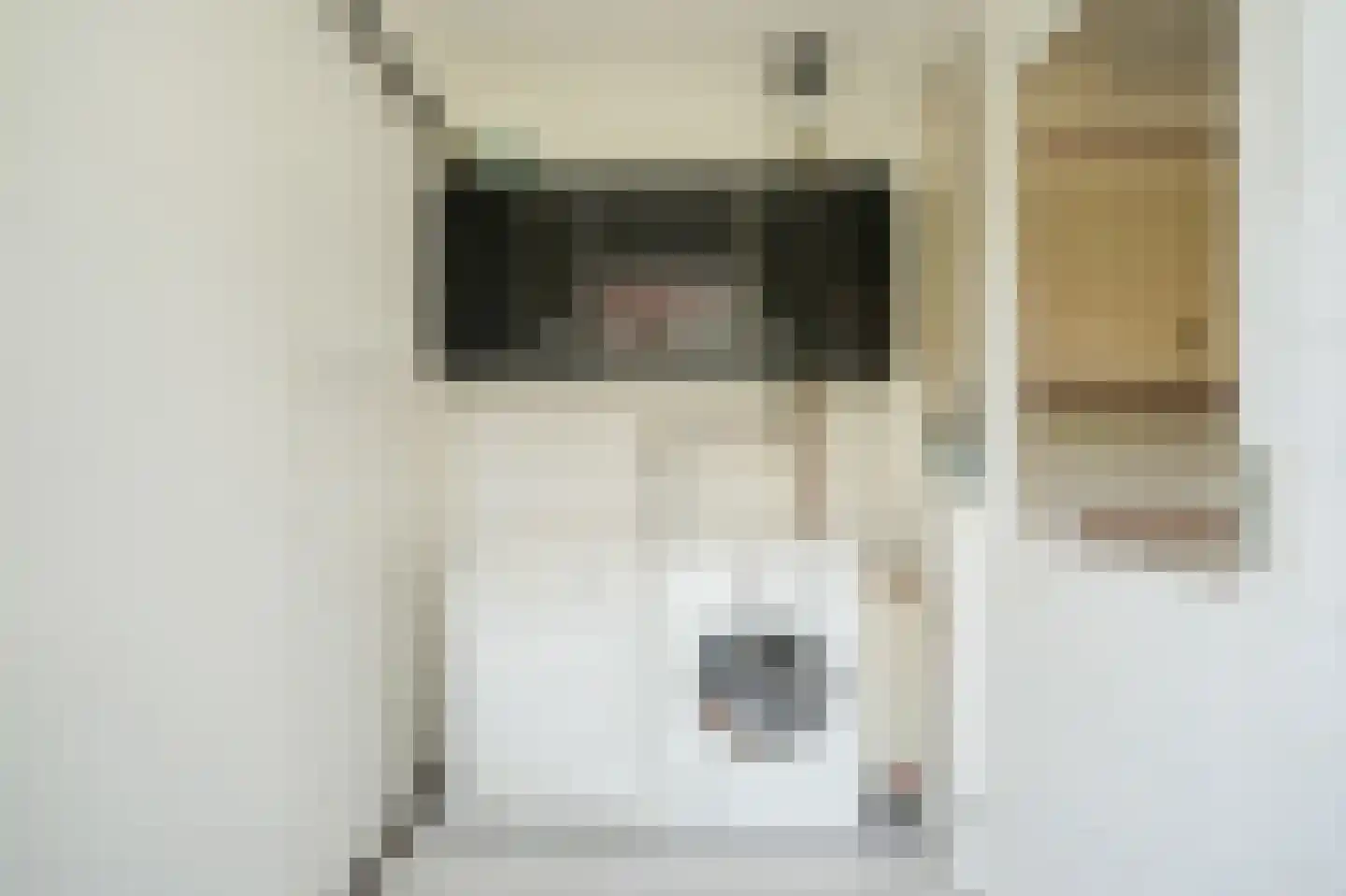 Oude Kapel 29 Geldermalsen thumbnail 20