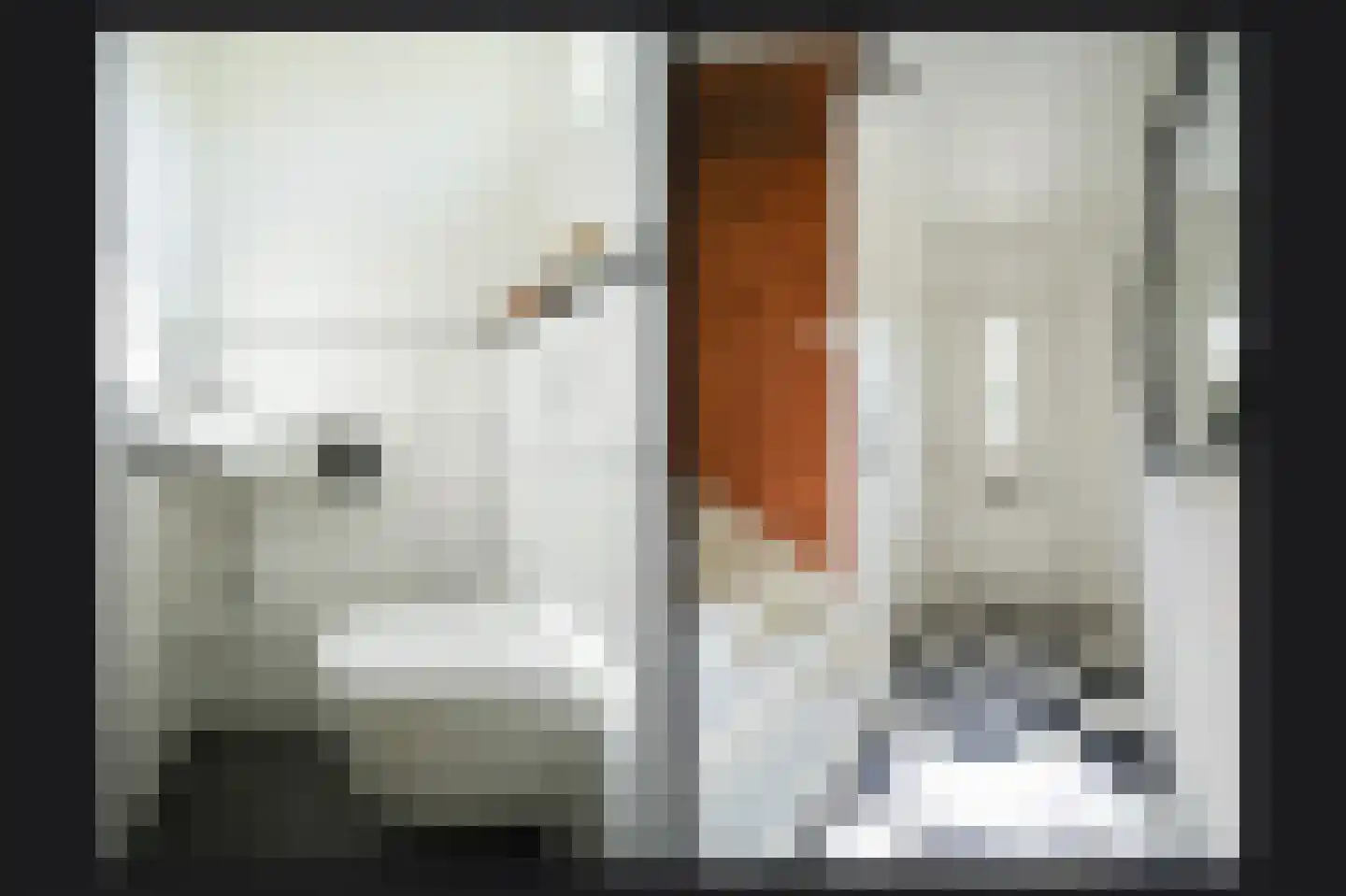 Oude Kapel 29 Geldermalsen thumbnail 22
