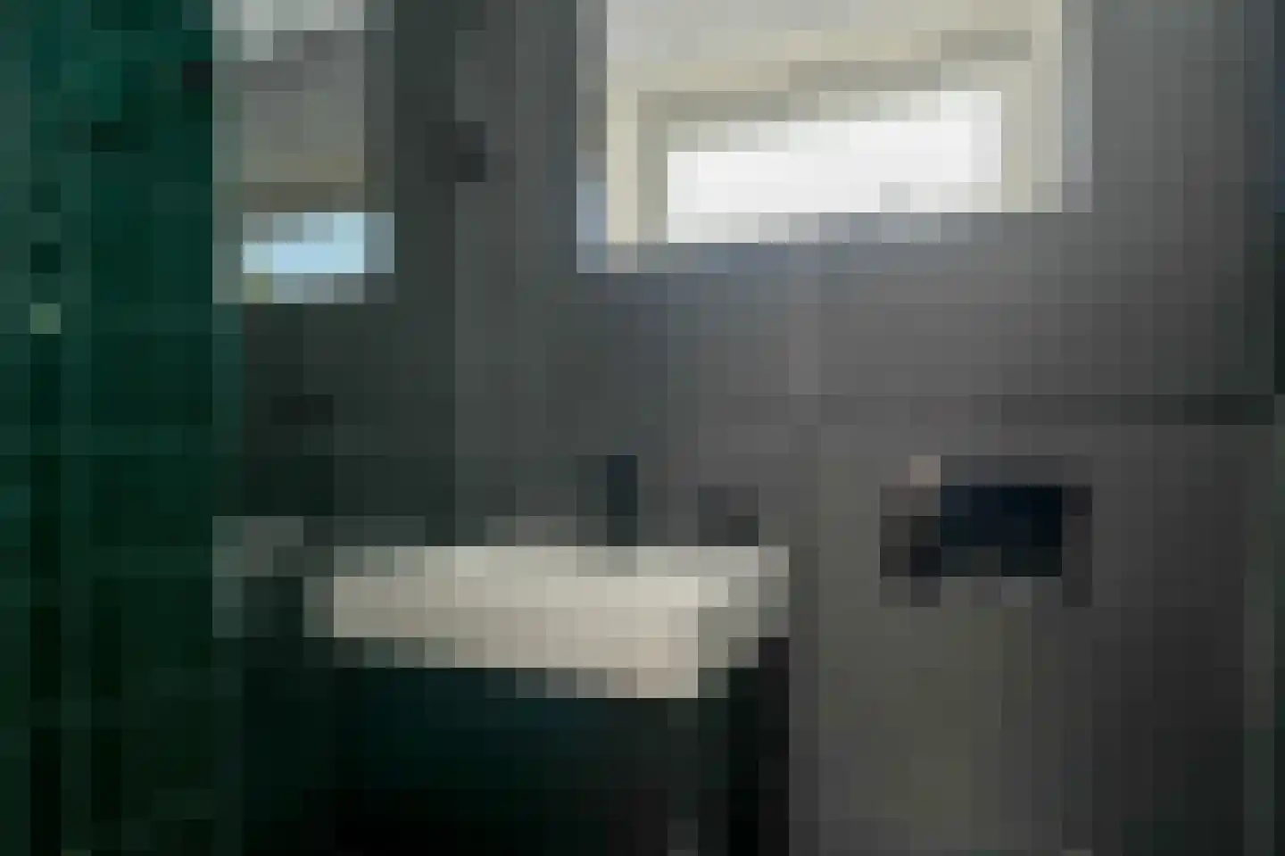 Oude Kapel 29 Geldermalsen thumbnail 28