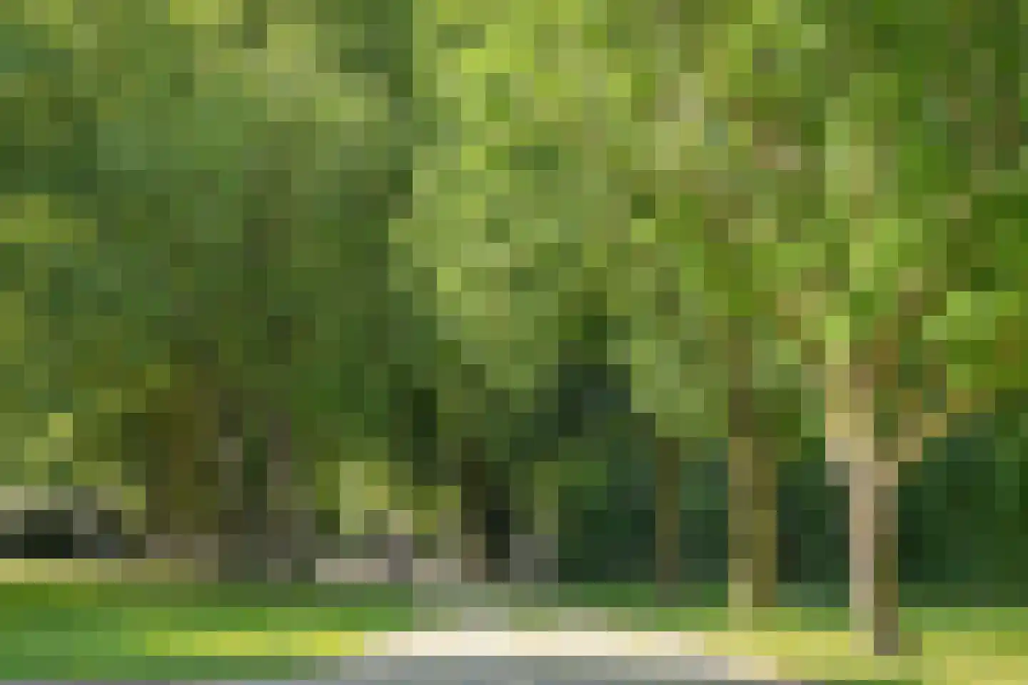 Oude Kapel 29 Geldermalsen thumbnail 40