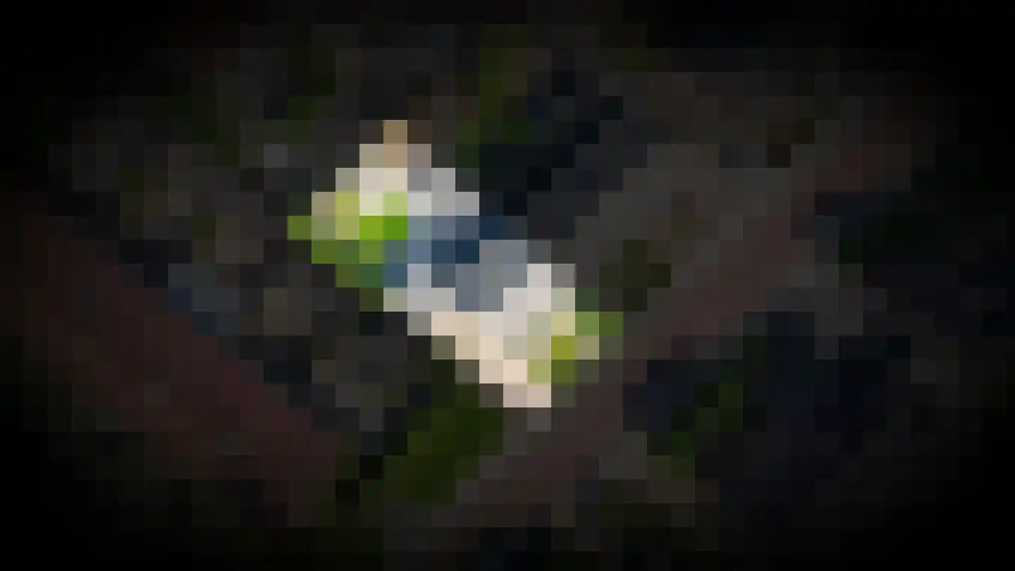Oude Kapel 29 Geldermalsen thumbnail 43