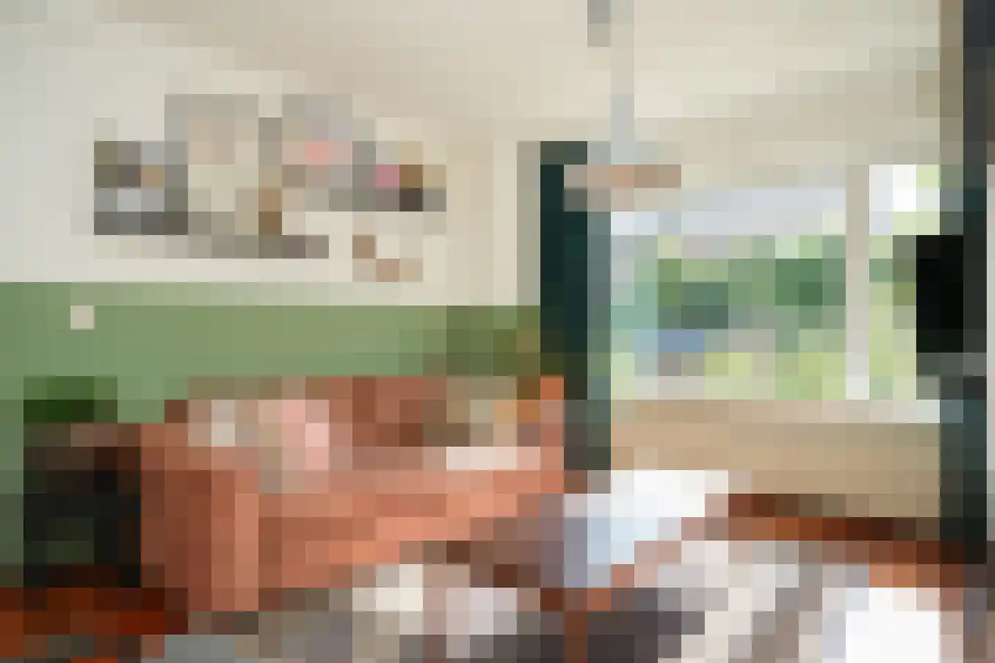 Oude Kapel 29 Geldermalsen thumbnail 7