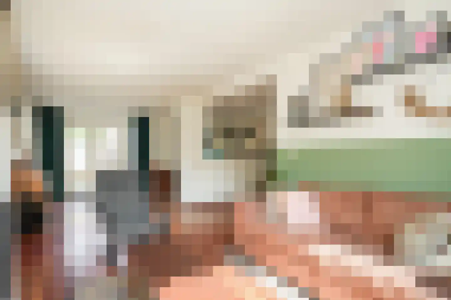 Oude Kapel 29 Geldermalsen thumbnail 8
