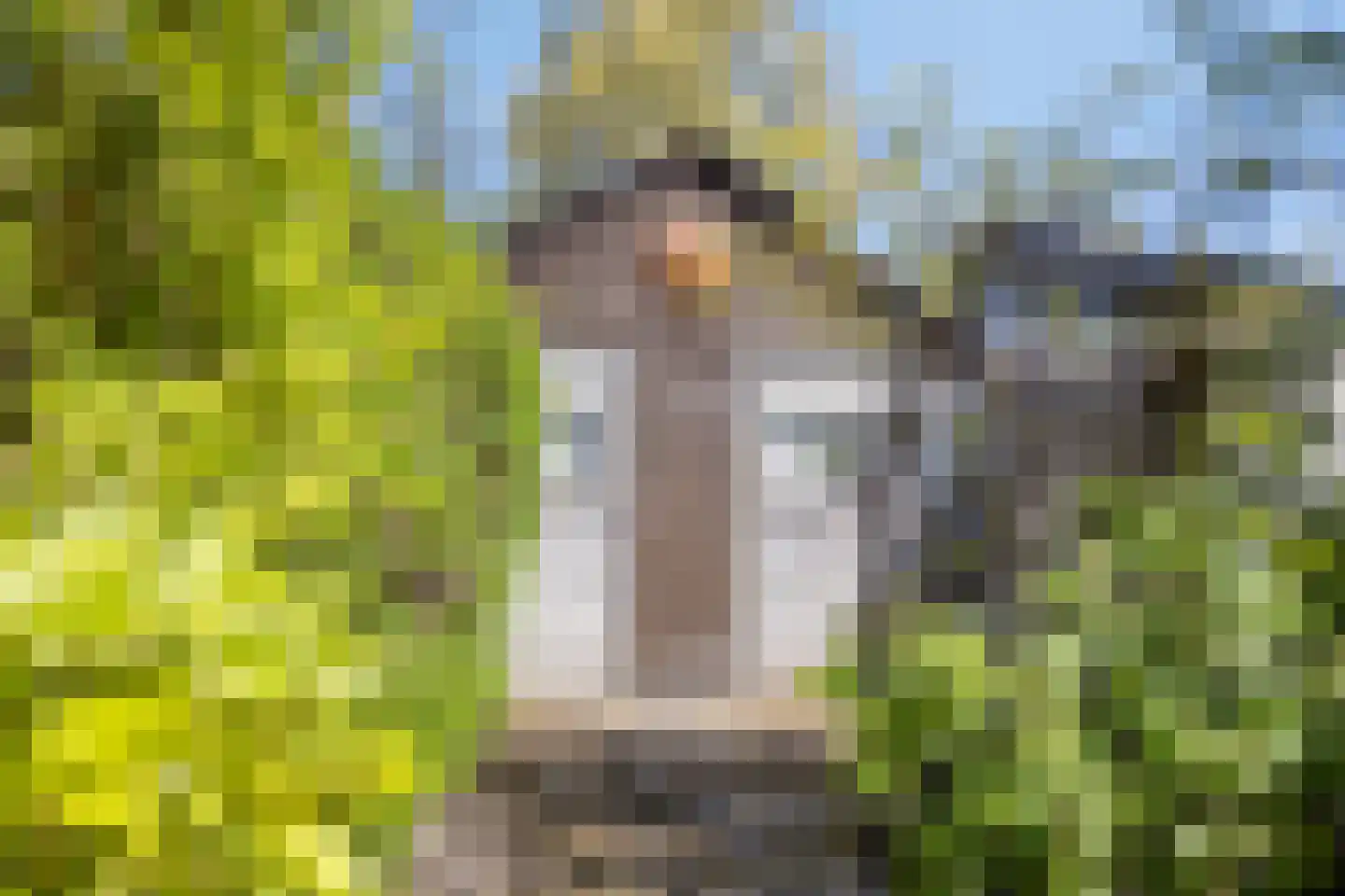 Oude Karselaan 12 Amstelveen thumbnail 21