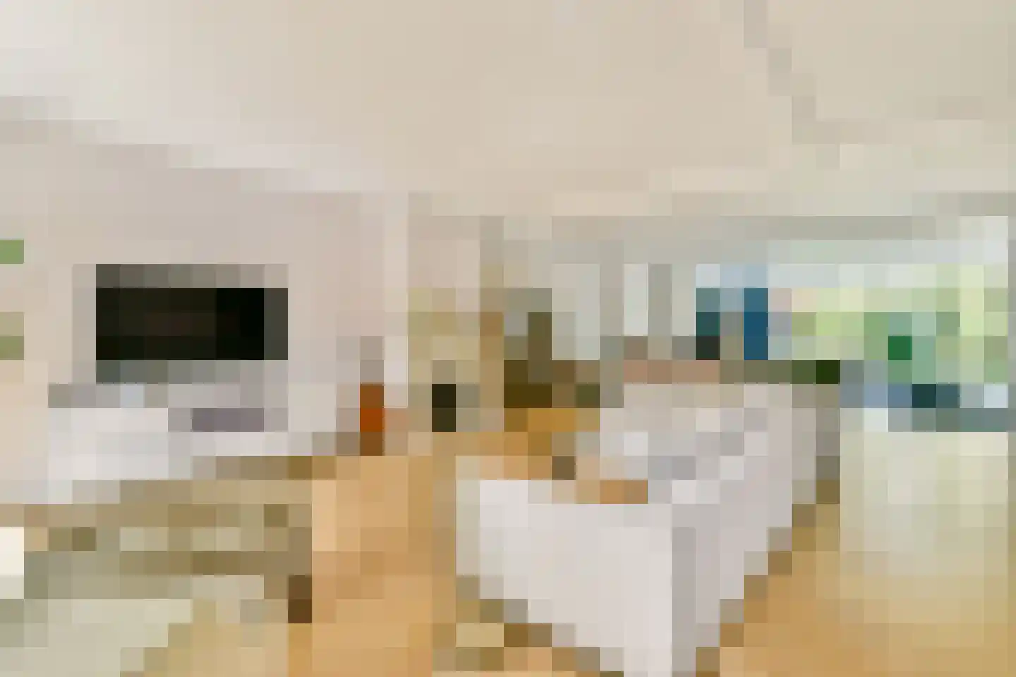 Oude Karselaan 24 Amstelveen thumbnail 12