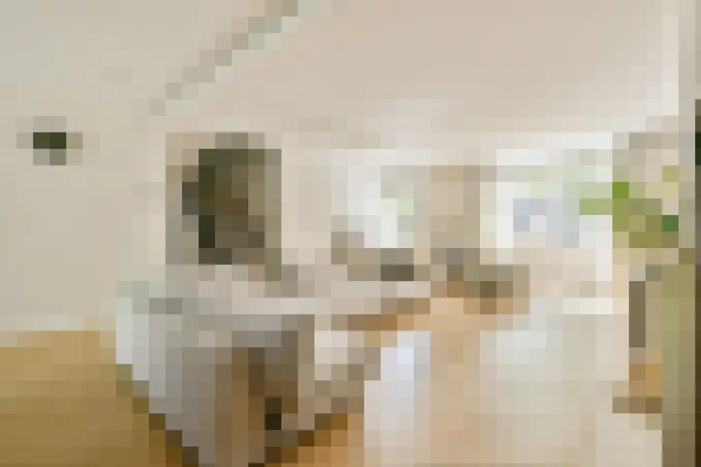 Oude Karselaan 24 Amstelveen thumbnail 13