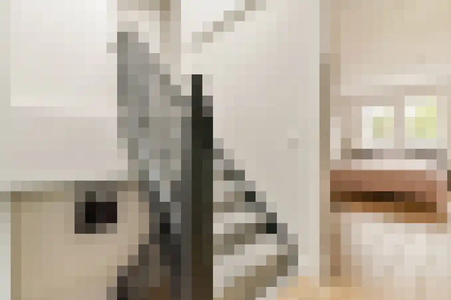 Oude Karselaan 24 Amstelveen thumbnail 26