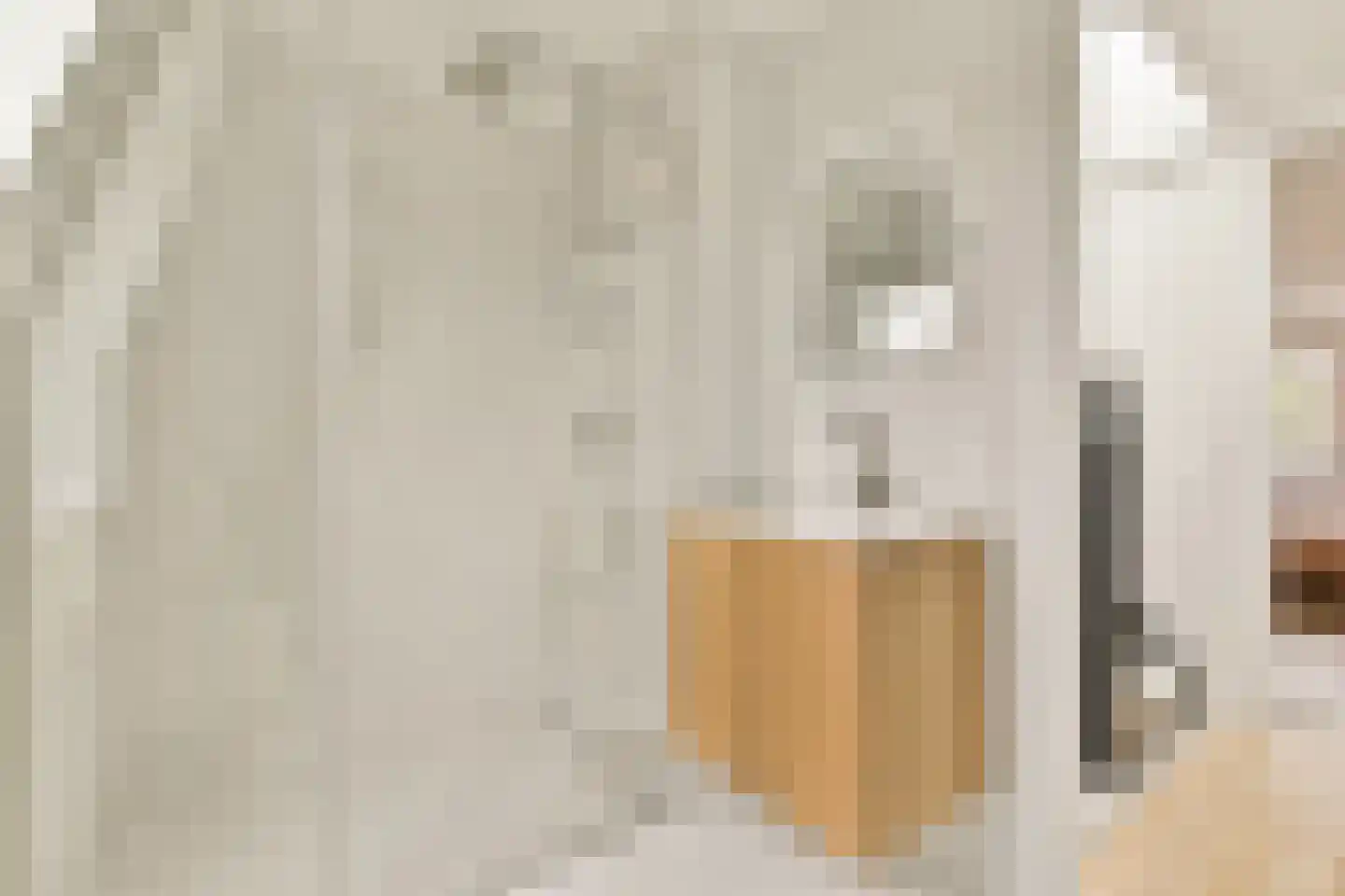 Oude Karselaan 24 Amstelveen thumbnail 28