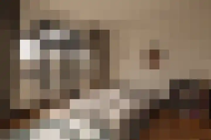 Oude Karselaan 26 Amstelveen thumbnail 31