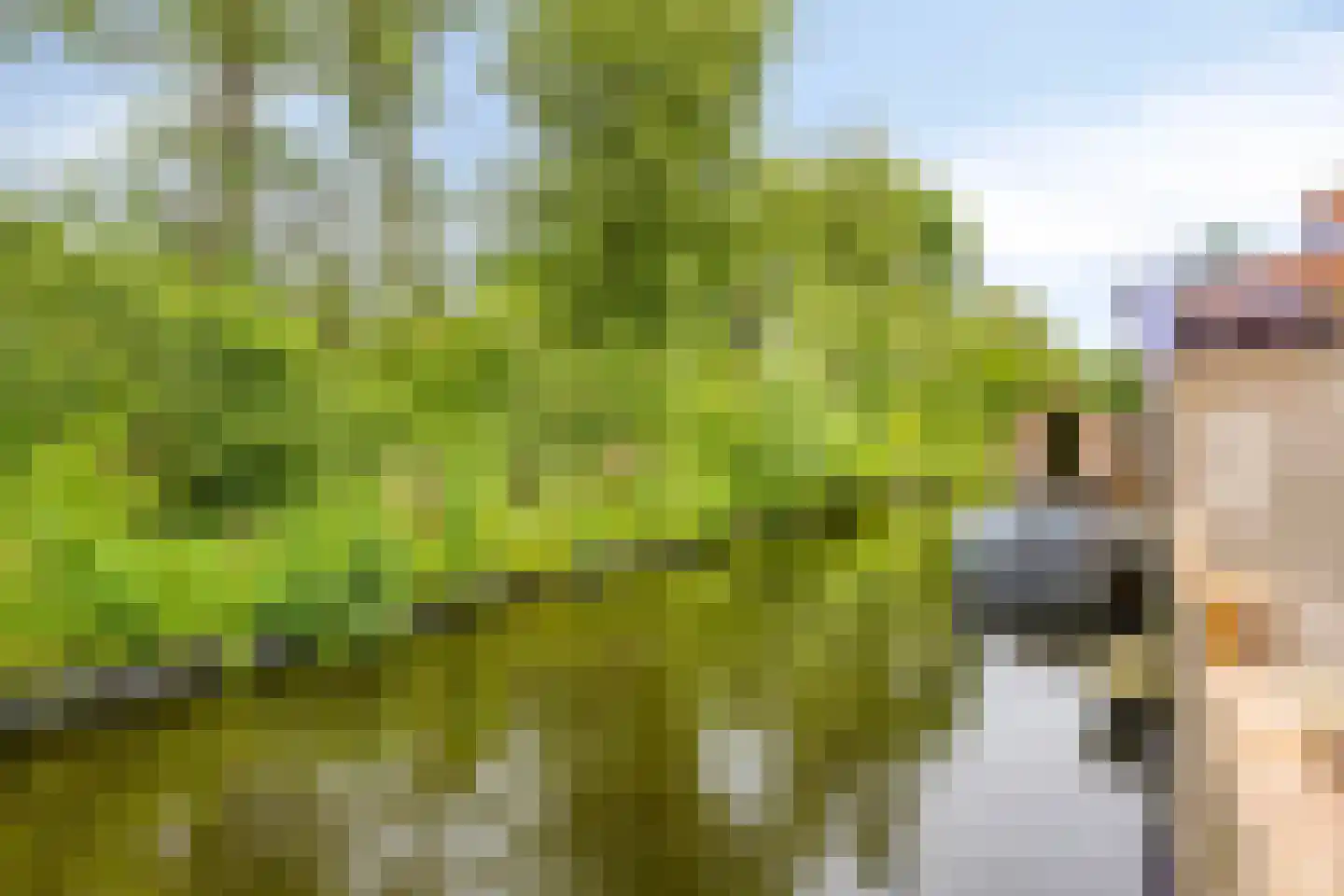 Oude Karselaan 46 Amstelveen thumbnail 16