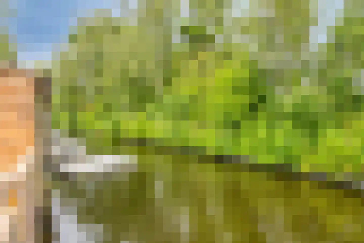 Oude Karselaan 46 Amstelveen thumbnail 17