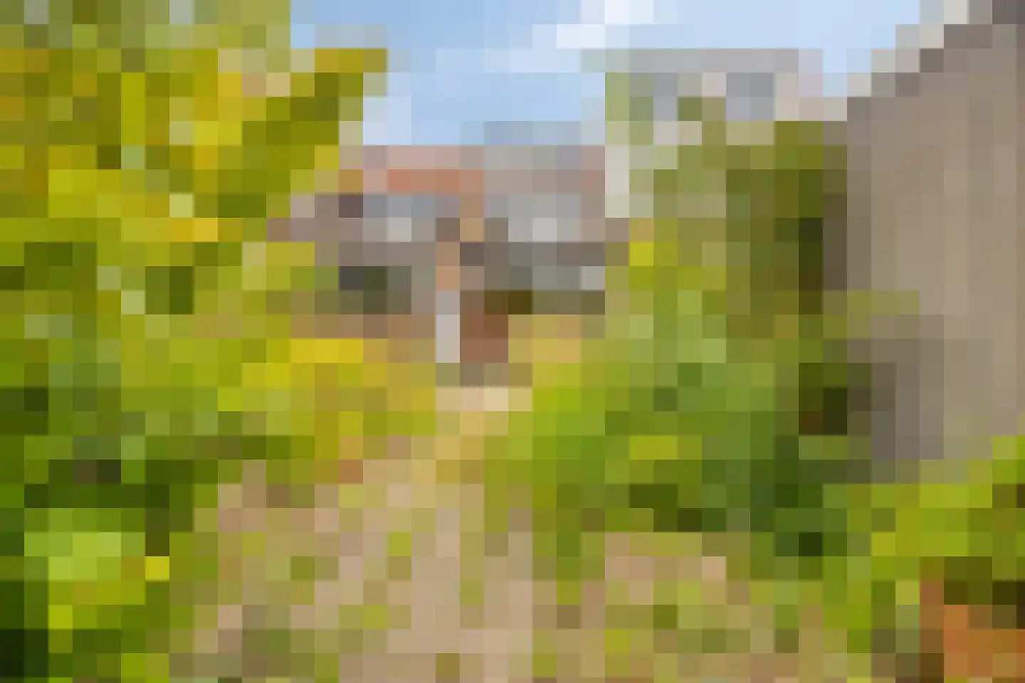 Oude Karselaan 46 Amstelveen thumbnail 19