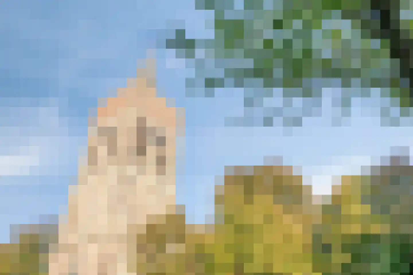 Oude Kerkplein 49 Ede thumbnail 32