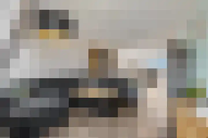 Oude Kerkplein 61 Ede thumbnail 4