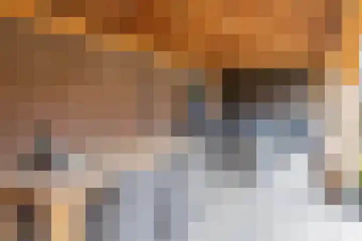 Oude Kerkstraat 10 A Veldhoven thumbnail 48