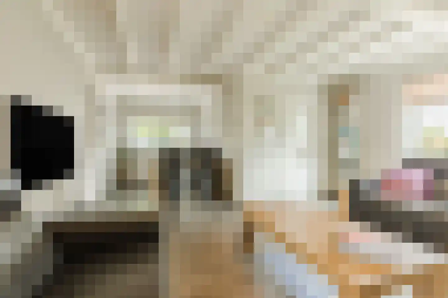 Oude Kerkstraat 11 Made thumbnail 11