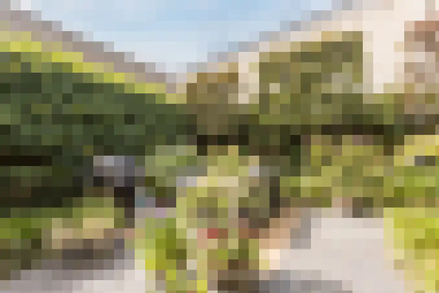Oude Kerkstraat 11 Made thumbnail 41