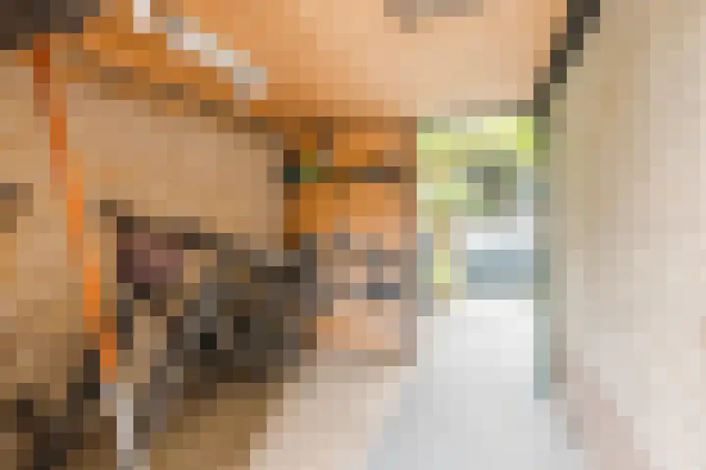 Oude Kerkstraat 11 Made thumbnail 48