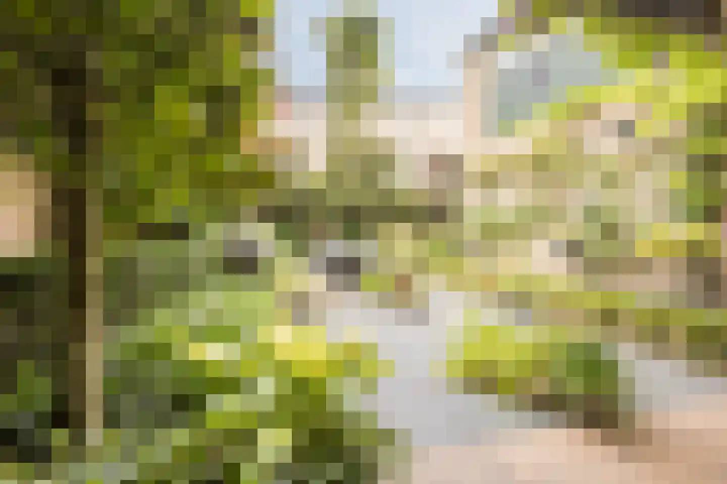 Oude Kerkstraat 11 Made thumbnail 5