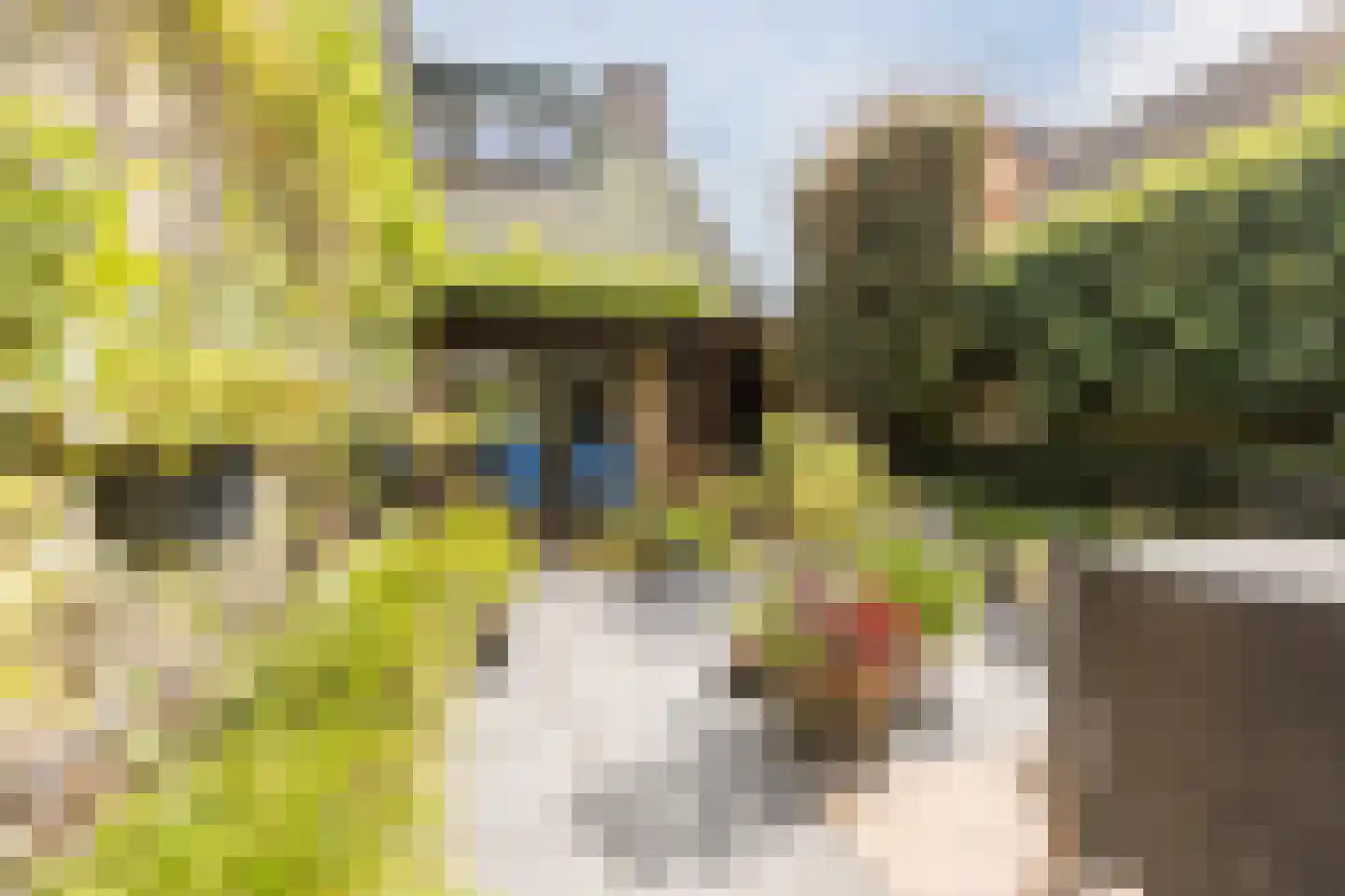 Oude Kerkstraat 11 Made thumbnail 6