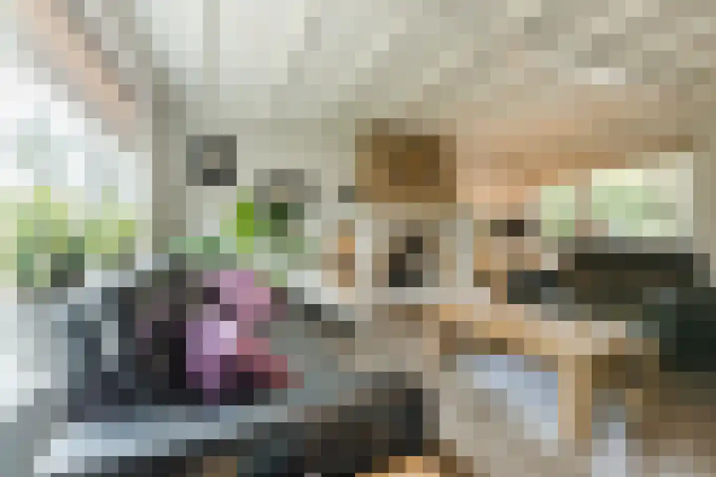 Oude Kerkstraat 11 Made thumbnail 9