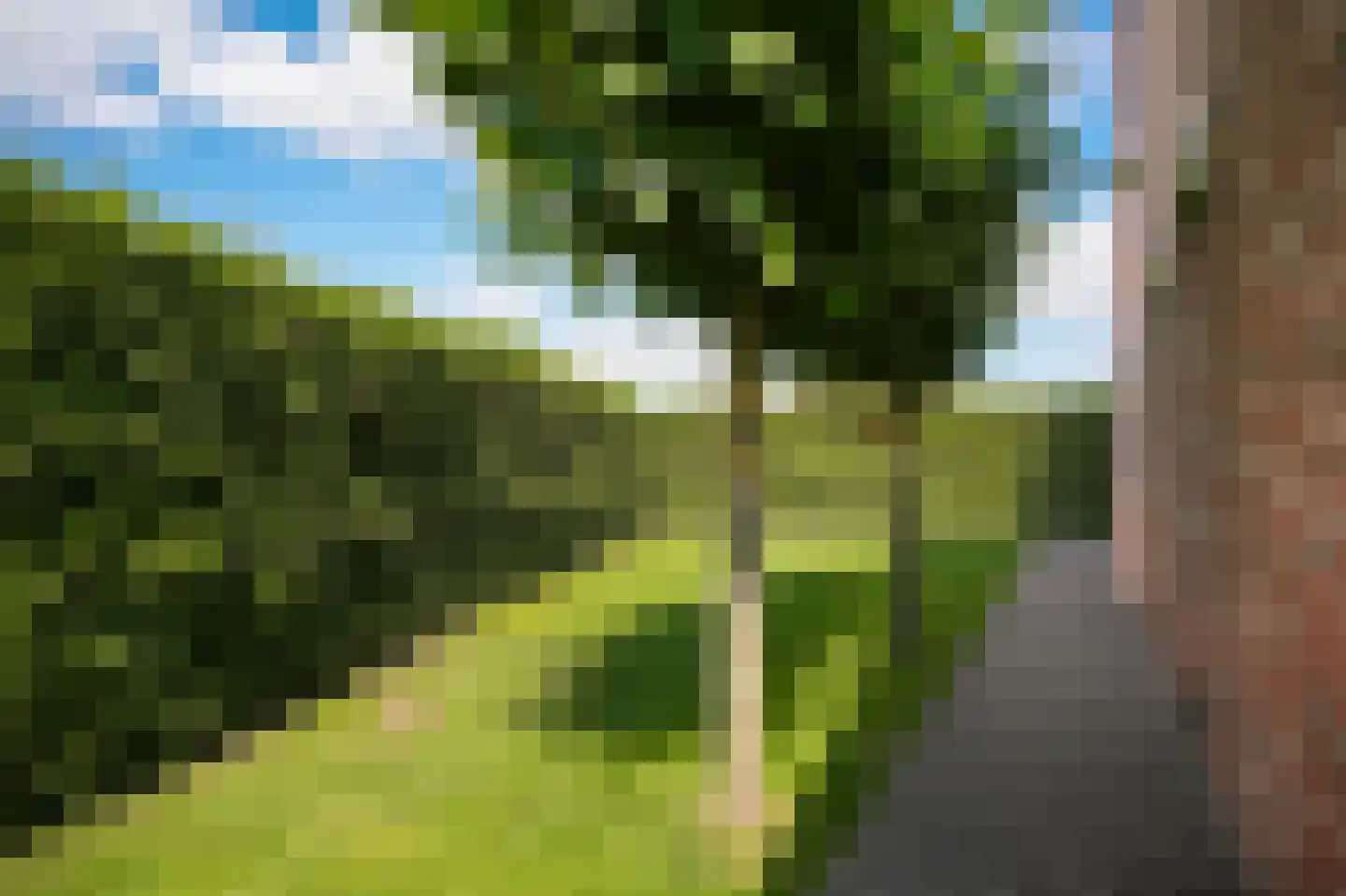 Oude Kerkstraat 11 Wijk en Aalburg thumbnail 37