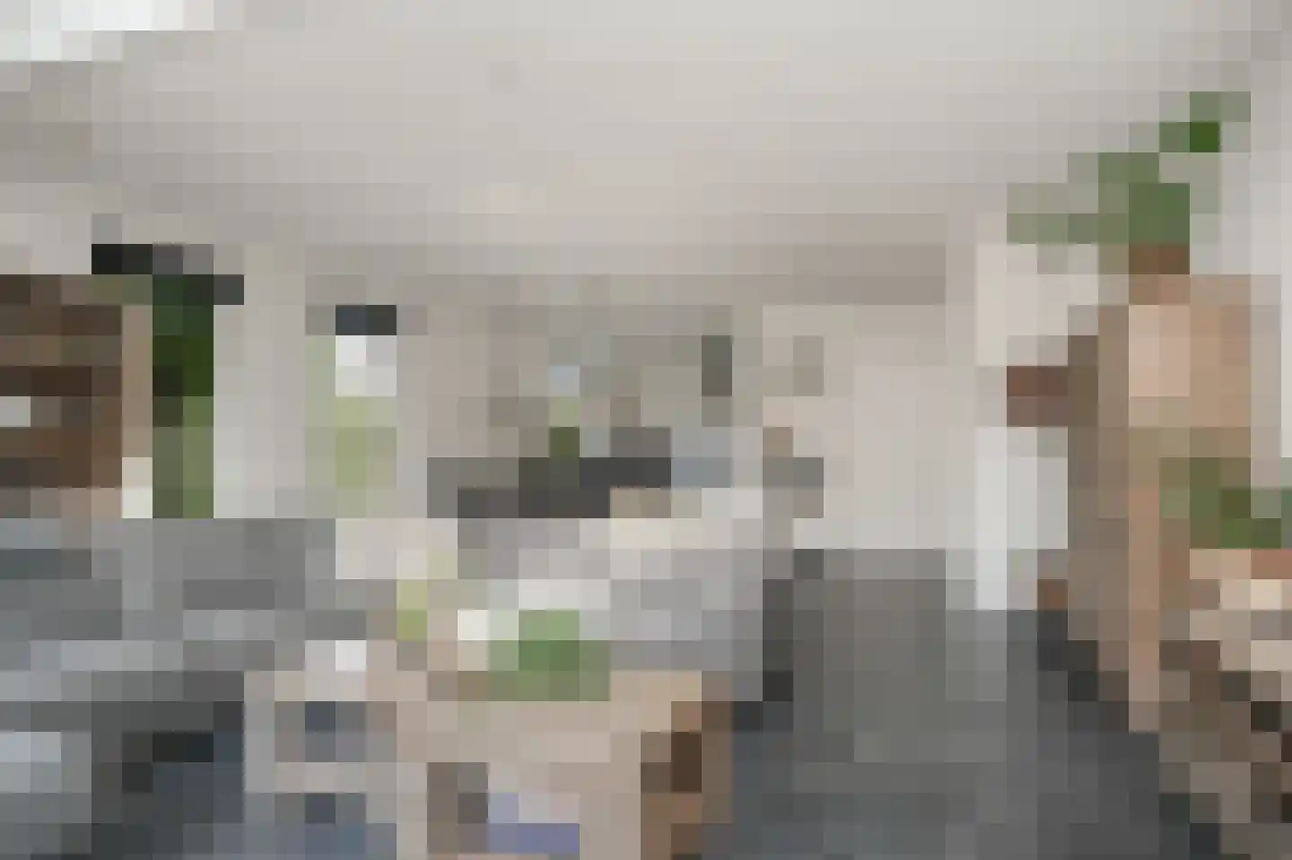 Oude Kerkstraat 11 Wijk en Aalburg thumbnail 5