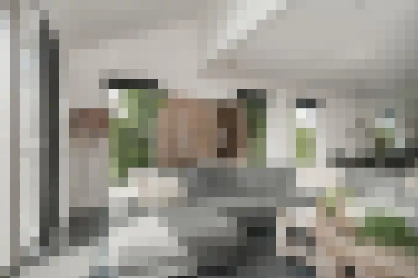 Oude Kerkstraat 11 Wijk en Aalburg thumbnail 8