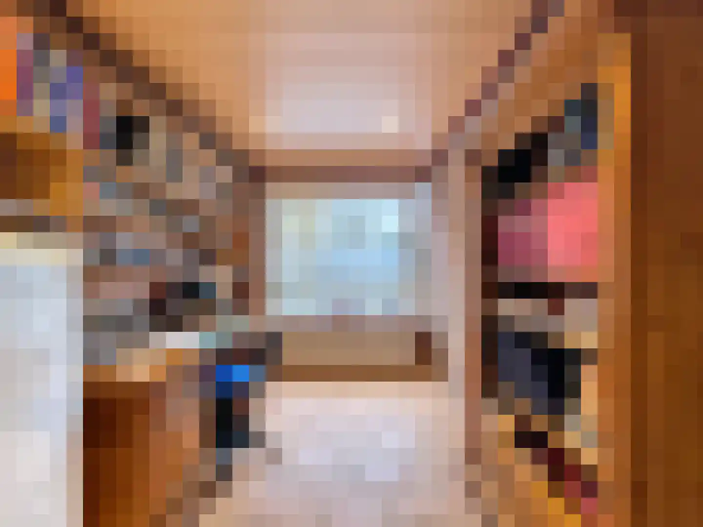 Oude Kerkstraat 12 Aardenburg thumbnail 13