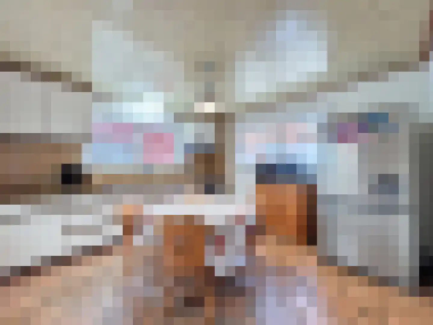Oude Kerkstraat 12 Aardenburg thumbnail 15
