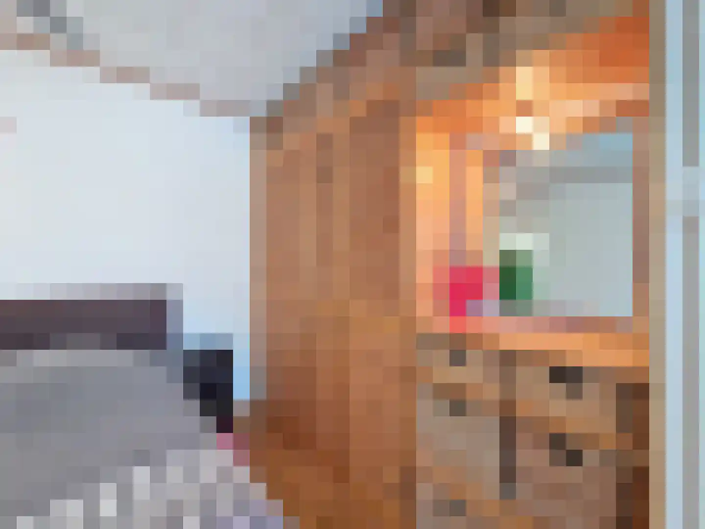 Oude Kerkstraat 12 Aardenburg thumbnail 27