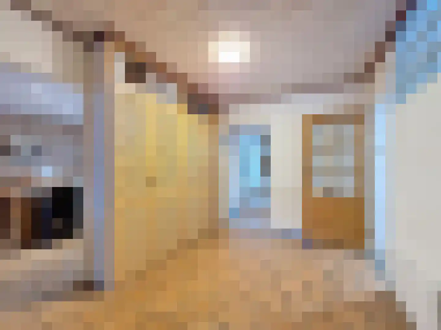 Oude Kerkstraat 12 Aardenburg thumbnail 5